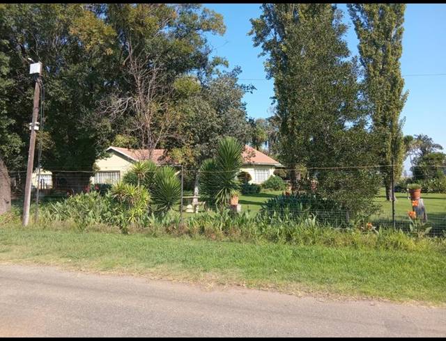 FARM FOR SALE IN SCHOONGEZICHT